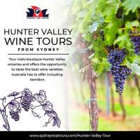 Hunter Valley Wine Tours image 2